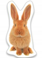  Nyuszis Brown formapárna, díszpárna 22x36 cm (12)