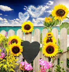 agmART Fotótapéta Virágok Kilátás Napraforgó Tenger Óceán (Fototapety agmART)