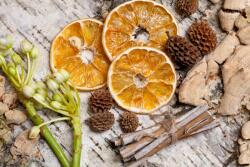 agmART Fotótapéta Citrom Toboz Szeletek (Fototapety agmART)