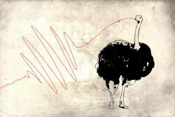 agmART Fotótapéta Falfestmény Állatok Madár Strucc vakolat 395x280 (Fototapety agmART)