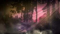 agmART Fotótapéta Kilátás Erdő a ködben éjszaka fák 380x256 (Fototapety agmART)