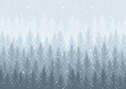 agmART Fotótapéta fák erdő a ködben kilátás hegy 200x130 (Fototapety agmART)