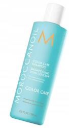 Moroccanoil Color Care Shampoo sampon festett hajra 250 ml (FMC-CLRS250PO)