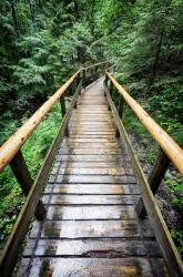 agmART Fotótapéta Táj Híd Átjáró Erdő Kilátás (Fototapety agmART)