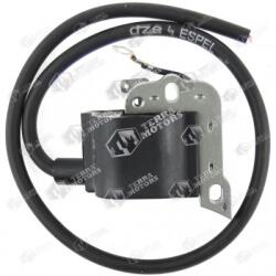 Dze Aprindere drujba Husqvarna 51, 55, 262, 154, 254, 257, 266, 268, 272, 50, 61, 66 (Dze)