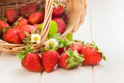 agmART Fotótapéta Gyümölcsök Eper Kosár Fa (Fototapety agmART)