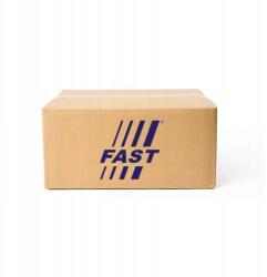 Fast Ajtóütköző FT08568 Fast