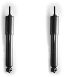 MONROE Amortizor MONROE D5482 (D5482) - fixbox