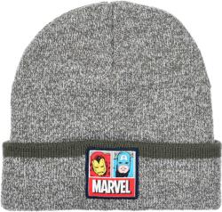 Kids movie heroes Шапка Avengers (HY40124-MGREY)