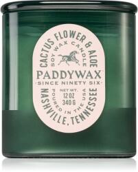 Paddywax Vista Cactus Flower & Aloe lumânare parfumată 340 g