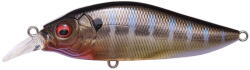Megabass Vobler Megabass Flap Slap LBO 7.7cm 12.2g Al Evening Gill (MB453564)
