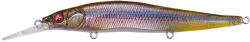 Megabass Vobler Megabass Vision Oneten+1 11cm 14g Fa Ghost Kawamutsu (MB530579)