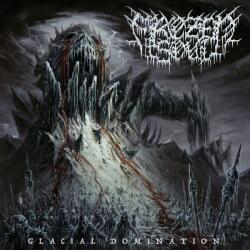 Frozen Soul - Glacial Domination (180 g) (LP) (0196587950019)