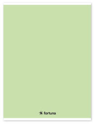Fortuna Füzet vonalas FORTUNA Monocolor A/4 32 lapos 81-32 pasztell zöld (01.02105) - robbitairodaszer