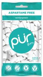 PÜR натурална дъвка без аспартам, Wintergreen, 55 бр