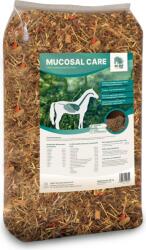 ALL-WIN Horse Mucosal Care - 15 kg