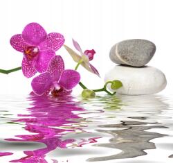 agmART Fotótapéta Virágok Orchidea Víz Liliom Kövek (Fototapety agmART)