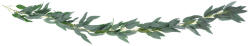  Garland Fűzfalevél, 2m (GLW3)