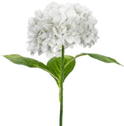  Művirág - Hortenzia Premium, 69 cm, fehér (KWT8-008)