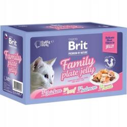 Brit Premium by Nature Family Plate finom filék zselében 12x85g