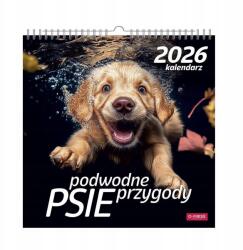 O-press Naptár 2026 Többtáblás Négyzet Kutyák A Víz Alatt (16887)