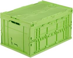 Relaxdays Cutie de transport Relaxdays 60L cu capac (10038060)