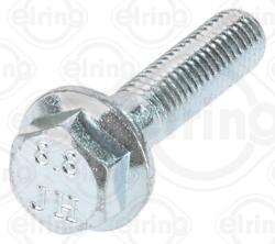 ELRING Surub hexagonal ELRING B75.700 (B75.700)