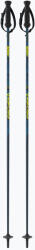 Fischer Sports Síbotok Fischer RC4 Noize grey / blue