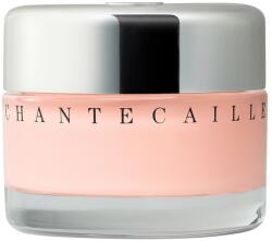 Chantecaille Future Skin Oil-Free Gel Foundation Petal 30 g