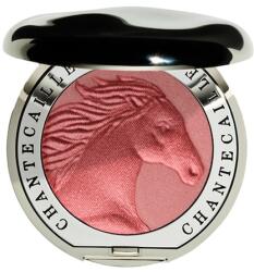 Chantecaille - Philanthropy Cheek Shades (in Pebble) Pirosítók 2.5 g Joy + Horse