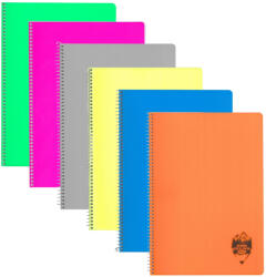 DACO Set 6 Caiete A4 cu spira si coperta plastic Daco CT496AR, 96 file, 70g/mp, Matematica, Culori asortate (CT496AR-6)