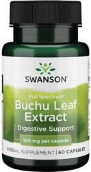 Swanson Full Spectrum Buchu Leaf Extract, 100 mg, 60 capsule, Swanson