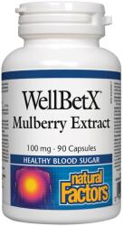 Natural Factors WellBetX Mulberry Extract, 100 mg, 90 capsule, Natural Factors