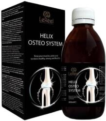 LeReel Helix Osteo System, 300 ml, LeReel