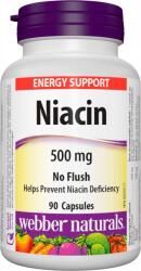 Webber Naturals Niacin, 500 mg, 90 capsule, Webber Naturals