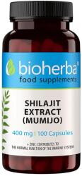 Bioherba Shilajit Extract (Mumijo), 400 mg, 100 capsule, Bioherba