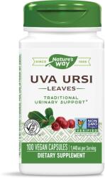 Nature's Way Uva Ursi, 480 mg, 100 capsule, Nature's Way