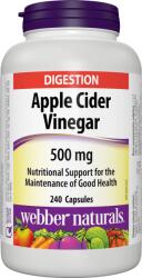 Webber Naturals Apple Cider Vinegar, 500 mg, 240 capsule, Webber Naturals