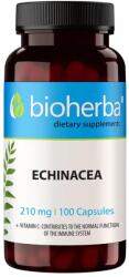 Bioherba Echinacea, 210 mg, 100 capsule, Bioherba