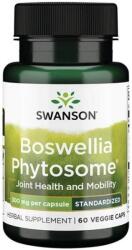 Swanson Boswellia Phytosome, 300 mg, 60 capsule, Swanson