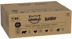 Whiskas 84x85g Whiskas Junior klasszikus válogatás szószban nedves macskatáp