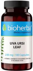 Bioherba Uva Ursi, 230 mg, 100 capsule, Bioherba