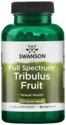 Swanson Full Spectrum Tribulus Fruit, 500 mg, 90 capsule, Swanson