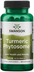 Swanson Turmeric Phytosome, 500 mg, 60 capsule, Swanson