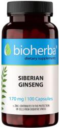 Bioherba Siberian Ginseng, 170 mg, 100 capsule, Bioherba