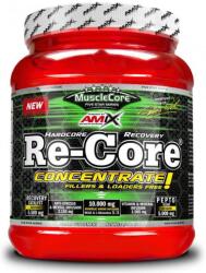 Amix Nutrition Re-Core Concentrated, punch de fructe, 540 g, Amix (15523)