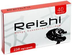 Artesania Agricola Plantis Reishi, 250 mg, 40 capsule, Artesania Agricola