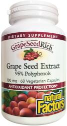 Natural Factors GrapeSeedRich Grape Seed Extract, 100 mg, 60 vege capsule, Natural Factors