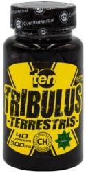 Cvetita Herbal 10/ten Tribulus Terrestris, 300 mg, 40 capsule, Cvetita Herbal