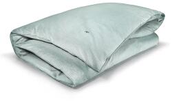 Ralph Lauren husă pilotă de bumbac OXFORD Evergreen 240 x 220 cm 99KK-PSU03J_07X (962745) Lenjerie de pat